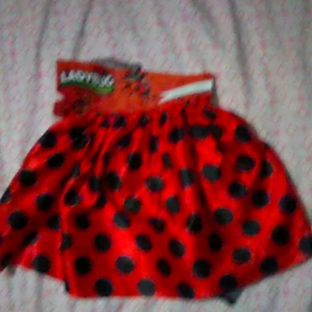 Ladybugs Skirt